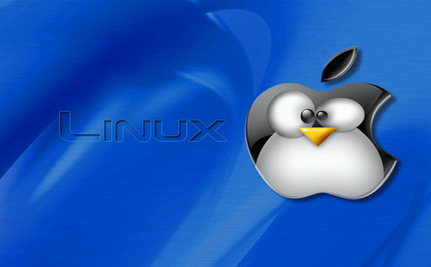 linux操作系统pwd的基本语法