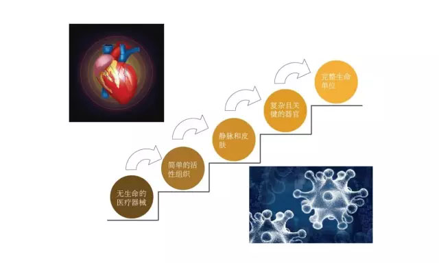 深度解析生物医疗3D打印公司研究方向与未来趋势