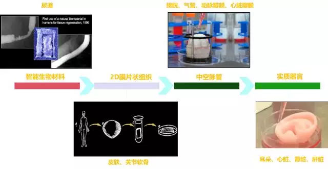 深度解析生物医疗3D打印公司研究方向与未来趋势