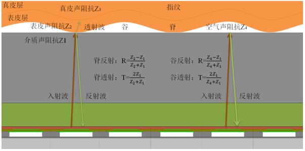 屏下指纹再添异彩！思立微电子突破超声新技术