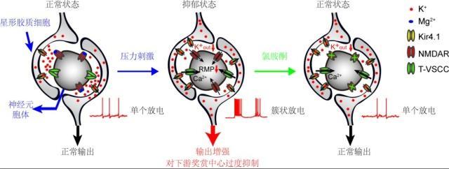 2018年度中国科学十大进展正式发布！