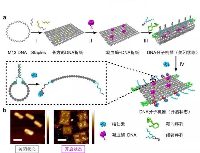 2018年度中国科学十大进展正式发布！