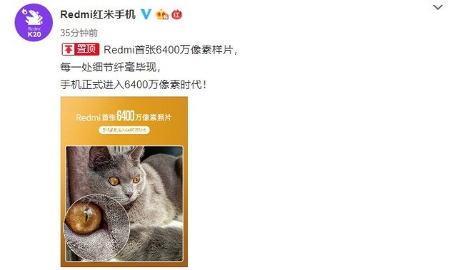 Redmi公布首张6400万像素样片 细节纤毫毕现