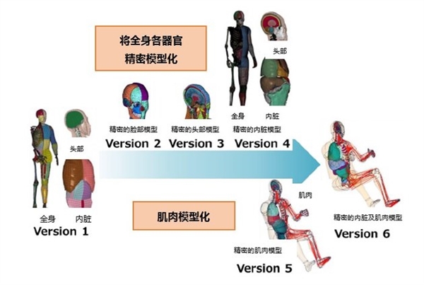 提升车辆安全性能！丰田无偿公开虚拟人体模型“THUMS”