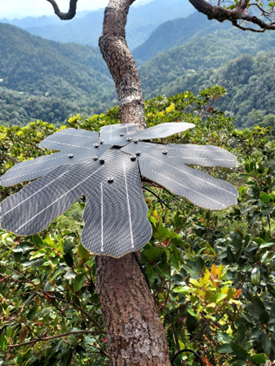 英飞凌与Rainforest Connection合作，利用先进的传感器技术保护雨林
