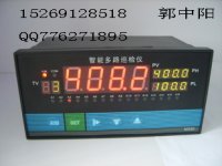 【甘肃 宁夏 辽宁 黑龙江XMT-8000大棚温度控